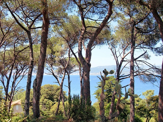 Voyage surprise à Ajaccio