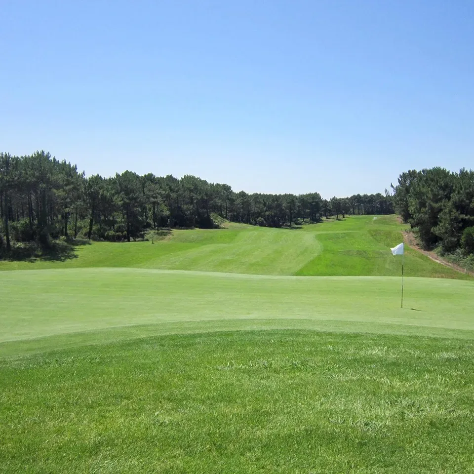 Golf de Moliets — photo 5