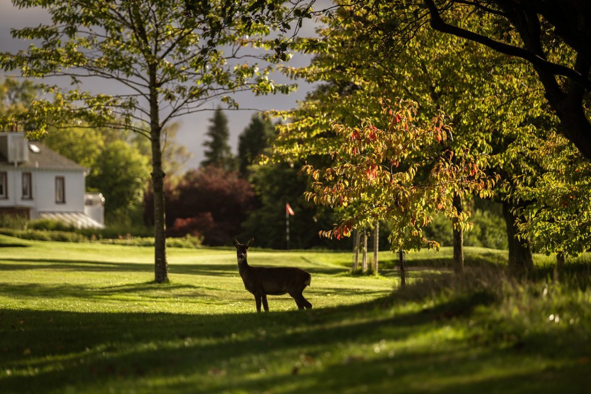 Bruntsfield Links Golfing Society — photo 2